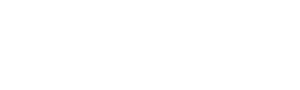 Eibach – Partnermarke FA-CARDESIGN