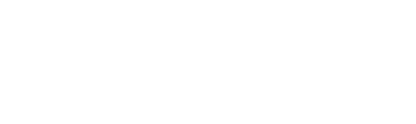 TopCar – Partnermarke FA-CARDESIGN